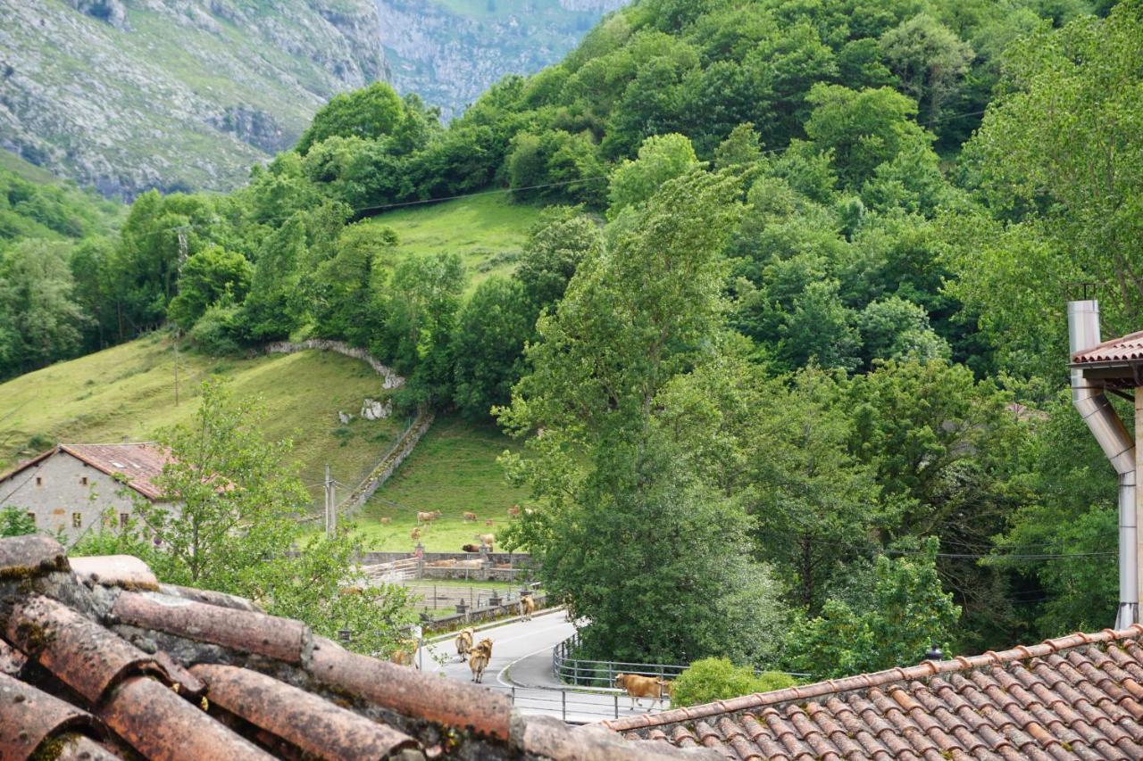 Apartahotel Montecaoru Arenas De Cabrales Eksteriør bilde